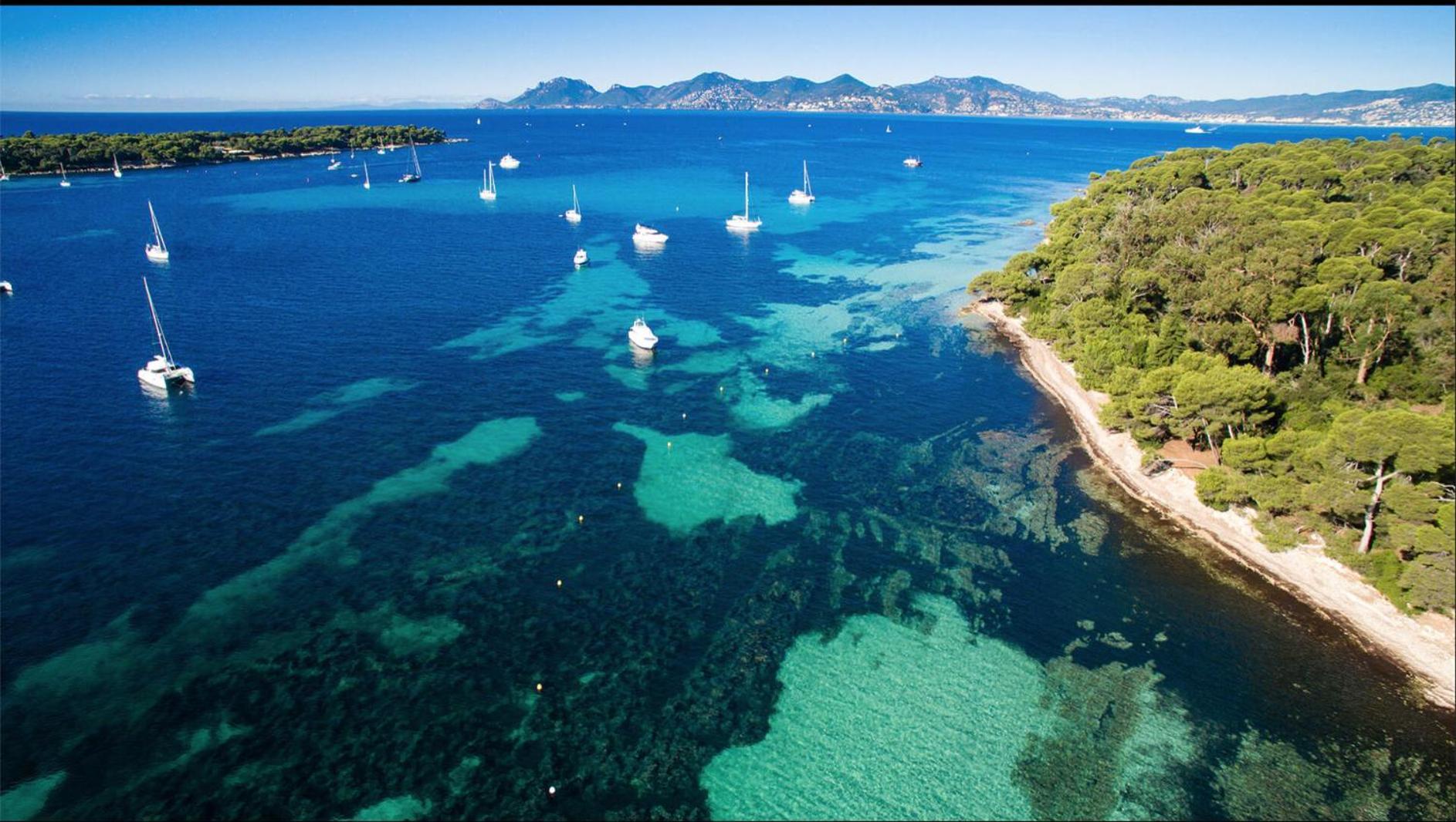Le Bristol Appartement Cannes Buitenkant foto